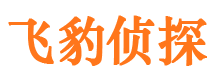 宿州市出轨取证